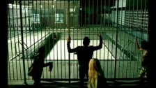 John Mayer 'Who Says' music video