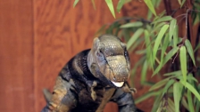 The Black Keys 'Tighten Up' music video