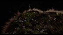 CREEP 'Vertigo' Music Video