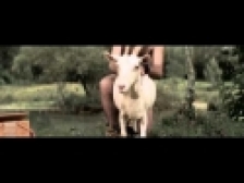 Larvas Salvajes 'Florian Droids' music video