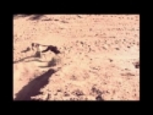 The Black Angels 'Entrance Song' music video